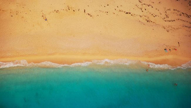 Les valeurs au cœur du coaching intégral émergence